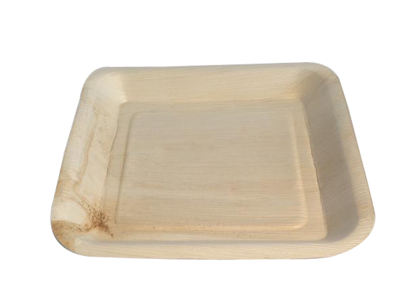 Terrahue Palm Leaf Plates,9.5 inch square, 100% Natural,Biodegradable,Compostable.