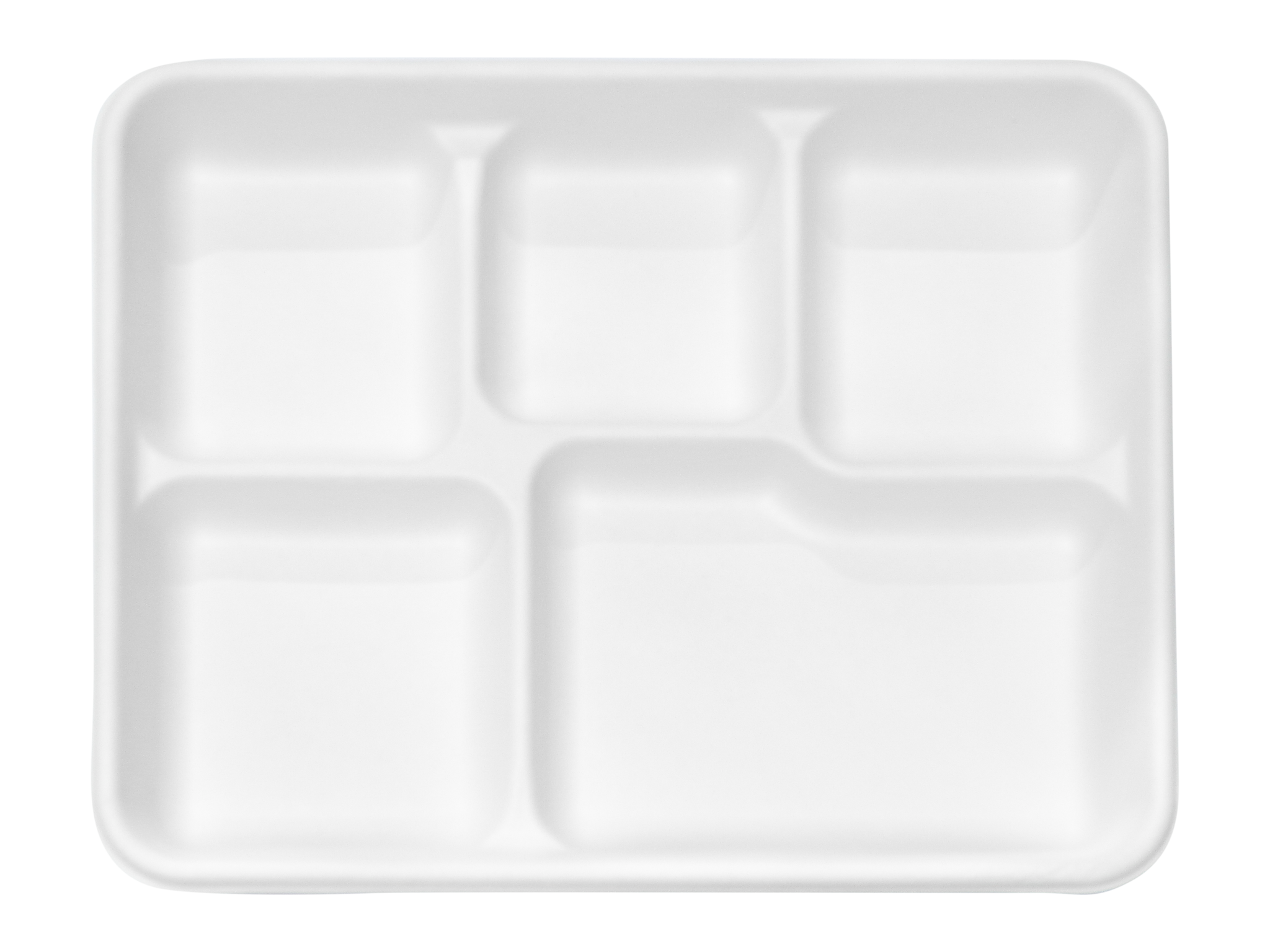 200 Pack] 5-Compartment Sugarcane Fiber Disposable Tray - 100% Compostable  American Tray, Serving Tray, Cafeteria Tray, Biodegradable, Eco Friendly,  Tree Free by EcoQuality (10 x 8.3 x 0.9 inch) 