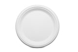 Terrahue 9 inch Round Plate, Biodegradable, Compostable, Sugarcane Bagasse